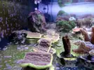 [TodoMarino.com] Stock  jc1veterinarios