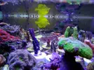 [TodoMarino.com] Stock  jc1veterinarios