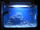[TodoMarino.com] Nanoreef 120l en Guada