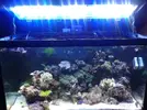 [TodoMarino.com] RSM 250L - tunear pantalla hacia LED??