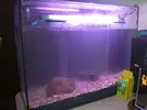 [TodoMarino.com] Nuevo marino Kantabriko 200L + Sump 80L