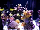 [TodoMarino.com] Mi pequeño "cachito de oceano"