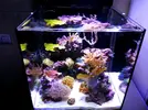 [TodoMarino.com] Mi pequeño "cachito de oceano"