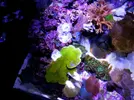 [TodoMarino.com] Mi pequeño "cachito de oceano"