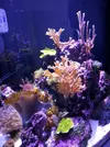 [TodoMarino.com] Mi pequeño "cachito de oceano"