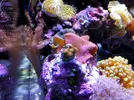 [TodoMarino.com] Mi pequeño "cachito de oceano"
