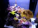 [TodoMarino.com] Mi pequeño "cachito de oceano"