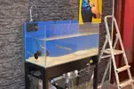 [TodoMarino.com] nuevos en marino y con muchas ganas de compartirlo