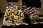 [TodoMarino.com] nuevos en marino y con muchas ganas de compartirlo
