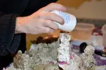 [TodoMarino.com] nuevos en marino y con muchas ganas de compartirlo