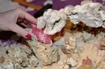 [TodoMarino.com] nuevos en marino y con muchas ganas de compartirlo