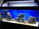 [TodoMarino.com] Hos presento a: ( .....:::::SiCeReeF:::::..... )