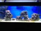 [TodoMarino.com] Hos presento a: ( .....:::::SiCeReeF:::::..... )