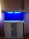 [TodoMarino.com] <~~~silvino reef 2.0~~~>