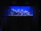 [TodoMarino.com] <~~~silvino reef 2.0~~~>