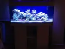 [TodoMarino.com] <~~~silvino reef 2.0~~~>
