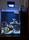 [TodoMarino.com] Mi nano de 35 litros