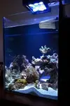 [TodoMarino.com] Mi nano de 35 litros