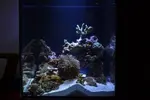 [TodoMarino.com] Mi nano de 35 litros