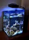 [TodoMarino.com] Mi nano de 35 litros