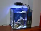 [TodoMarino.com] Mi nano de 35 litros