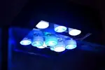 [TodoMarino.com] Mi nano de 35 litros