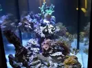 [TodoMarino.com] Mi nano de 35 litros