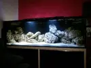 [TodoMarino.com] Presento mi 1000l