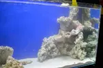 [TodoMarino.com] nuevos en marino y con muchas ganas de compartirlo