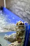 [TodoMarino.com] nuevos en marino y con muchas ganas de compartirlo