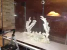 [TodoMarino.com] Acrylic reef