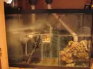[TodoMarino.com] ayuda con el sump
