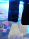 [TodoMarino.com] Bichitos en nano, son buenos?