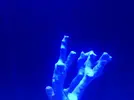 [TodoMarino.com] Acrylic reef