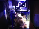 [TodoMarino.com] ¿donde comprar?