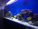 [TodoMarino.com] Ampliamos a 300L