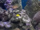 [TodoMarino.com] Hola,me presento yo y mi pequeño pedazo de mar.