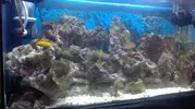 [TodoMarino.com] Hola,me presento yo y mi pequeño pedazo de mar.