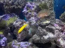 [TodoMarino.com] Hola,me presento yo y mi pequeño pedazo de mar.