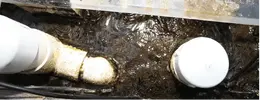 [TodoMarino.com] nuevos en marino y con muchas ganas de compartirlo
