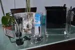 [TodoMarino.com] Presento mi Microhabitat 15 litros