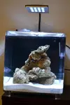 [TodoMarino.com] Presento mi Microhabitat 15 litros