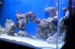 [TodoMarino.com] nuevos en marino y con muchas ganas de compartirlo