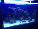 [TodoMarino.com] Mi pedazo de pantalla de leds!!!!!!