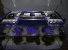 [TodoMarino.com] nuevo brico led " la interprisse"          tienda ( h2o terra)
