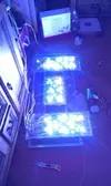 [TodoMarino.com] nuevo brico led " la interprisse"          tienda ( h2o terra)