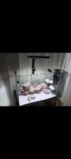 [TodoMarino.com] Hola a todos