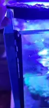 [TodoMarino.com] Red Sea Reefer 170(Reparar)