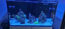 [TodoMarino.com] Vuelta al hobby con Reefer 250