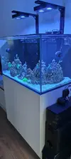 [TodoMarino.com] Vuelta al hobby con Reefer 250
